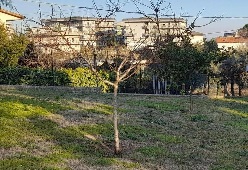 פנסיון Villa Mina