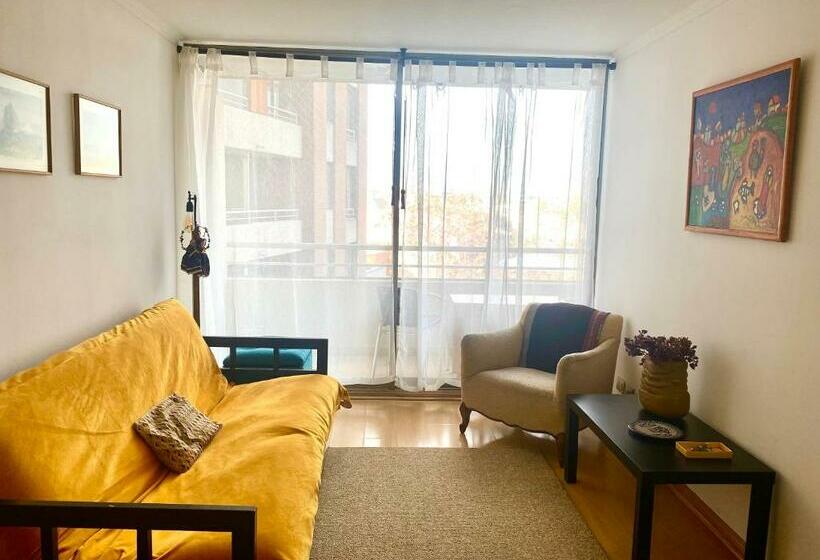 Departamento Dos Ambientes Providencia