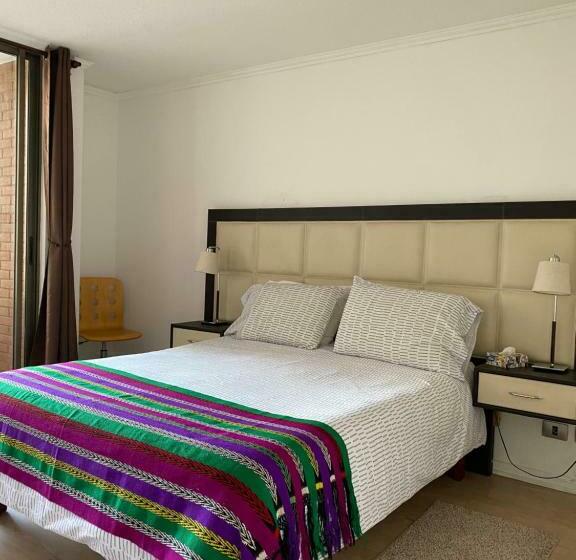 Departamento Dos Ambientes Providencia