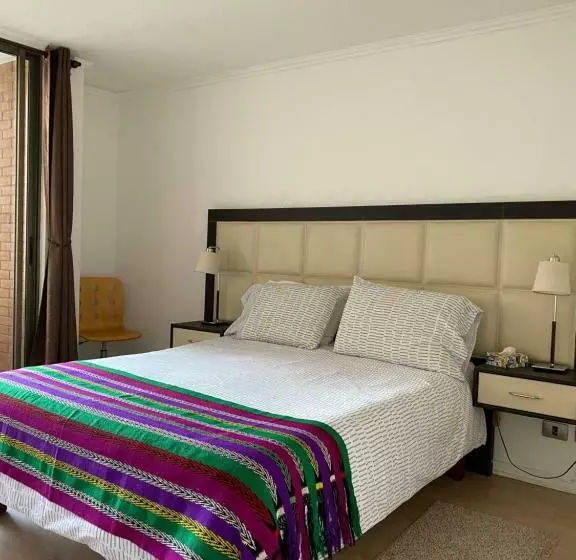 Departamento Dos Ambientes Providencia