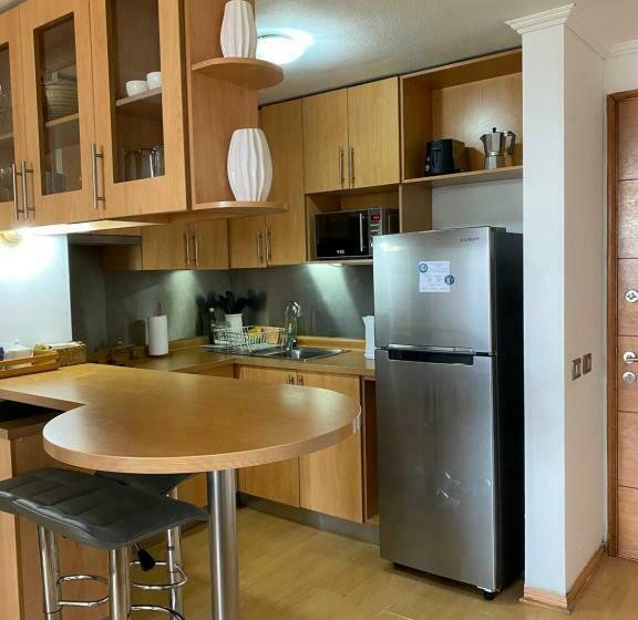 Departamento Dos Ambientes Providencia