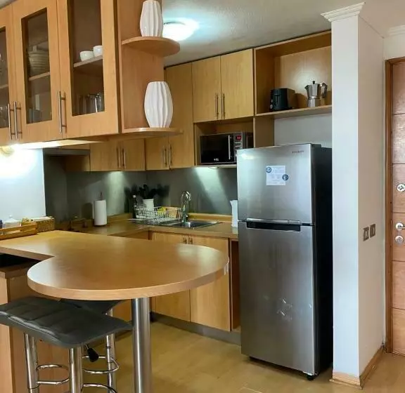 Departamento Dos Ambientes Providencia