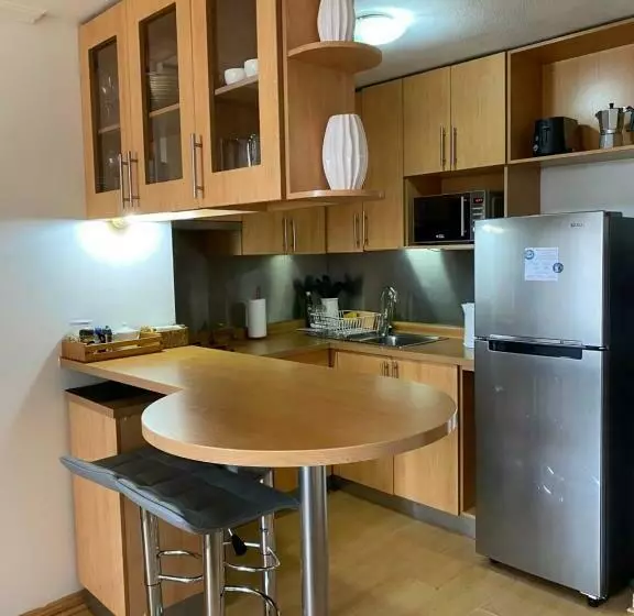 Departamento Dos Ambientes Providencia