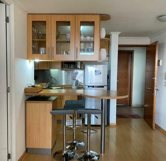 Departamento Dos Ambientes Providencia