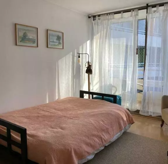 Departamento Dos Ambientes Providencia