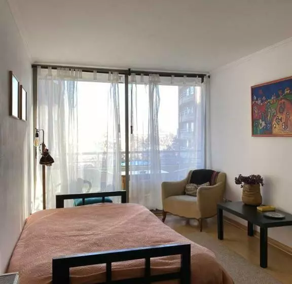 Departamento Dos Ambientes Providencia