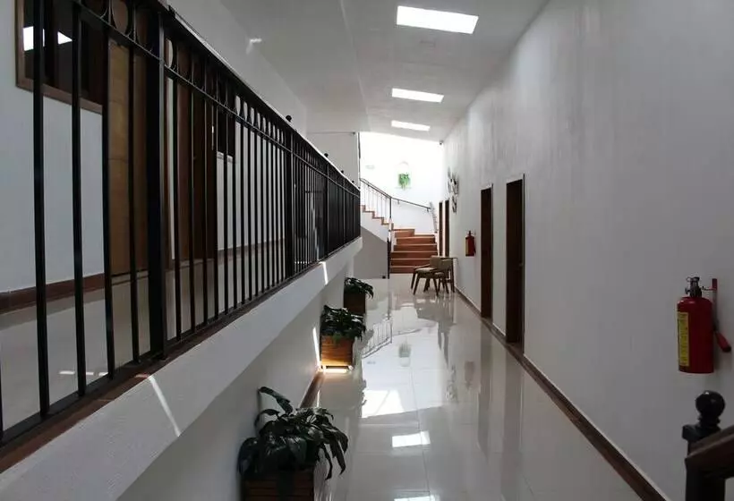 ホテル Casa Peregrina