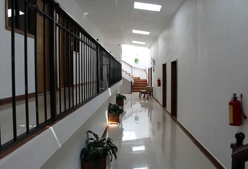 בית מלון כפרי Casa Peregrina