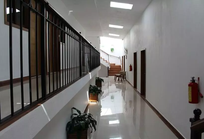 ホテル Casa Peregrina