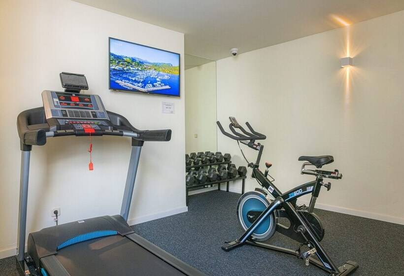 Отель Iroco Hostal