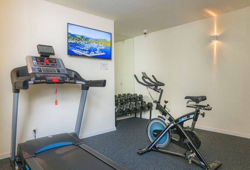 Отель Iroco Hostal