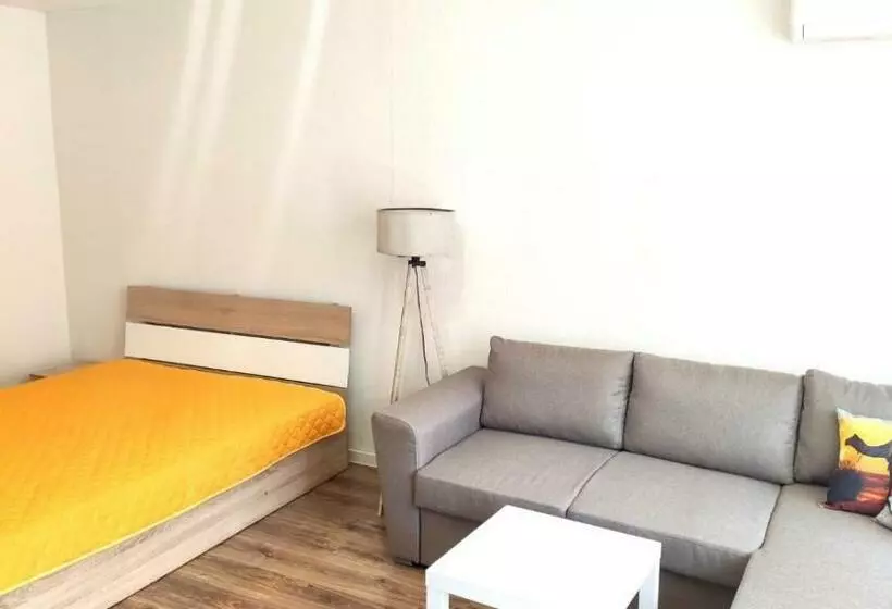 Lidda Belogradchik  1room Flat In Residential Area