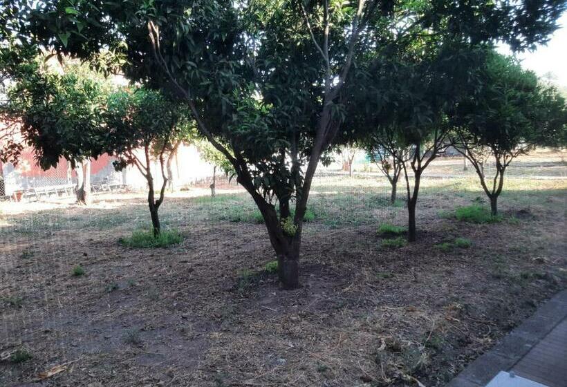 פנסיון Guesthouse Da Caterina