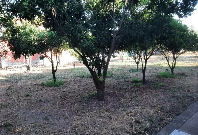 ペンション Guesthouse Da Caterina