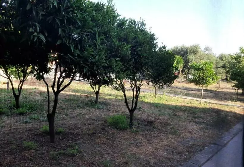 ペンション Guesthouse Da Caterina