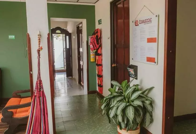 ペンション Habitaciones Privadas En Caracol Casa Turistica