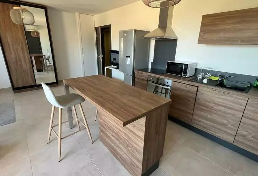 T1 Proche Aéroport Et Plage