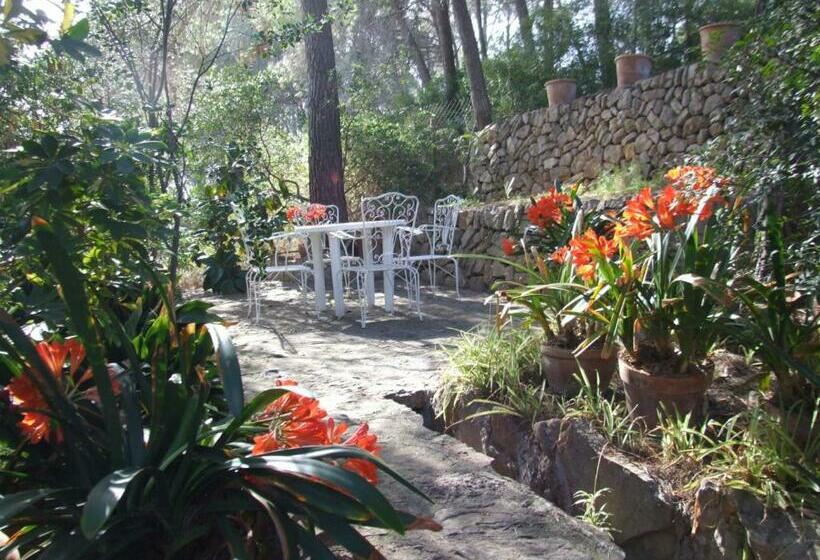 Villa En Andratx Con Piscina Privada