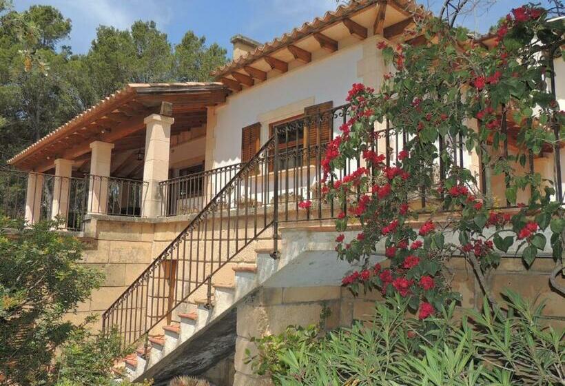 Villa En Andratx Con Piscina Privada