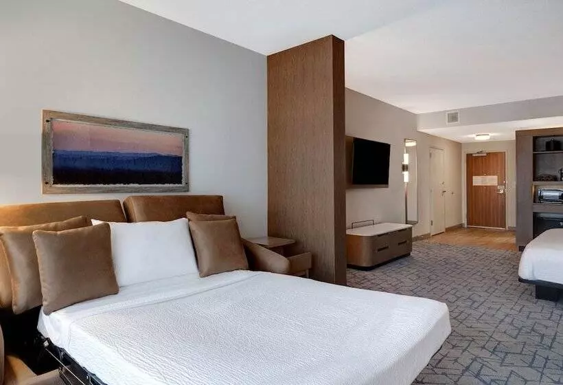 ホテル Fairfield By Marriott Inn & Suites Minneapolis Downtown