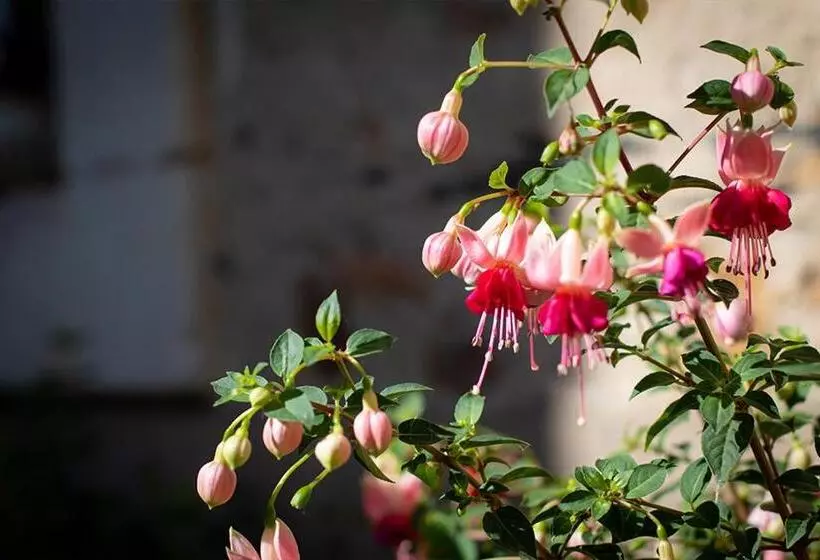 Aamiaismajoitus (B&B) Confidences Escale à Brissac