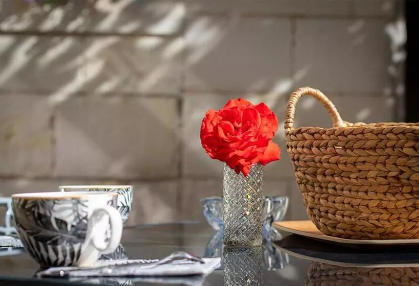 Aamiaismajoitus (B&B) Confidences Escale à Brissac