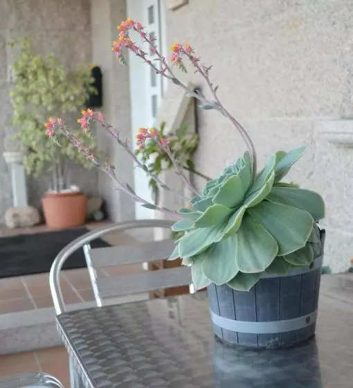 ペンション Casa De Conde