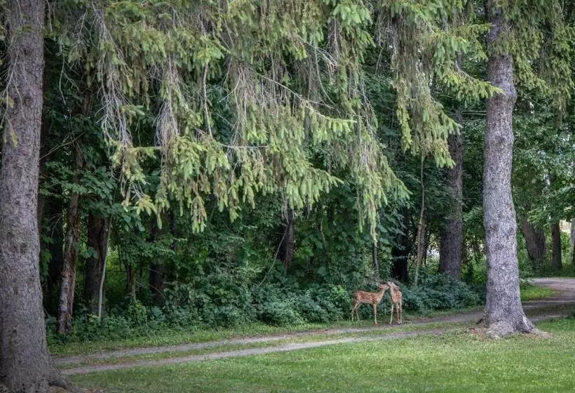 Forestview Manor