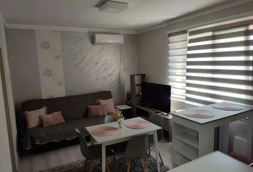 Mm House