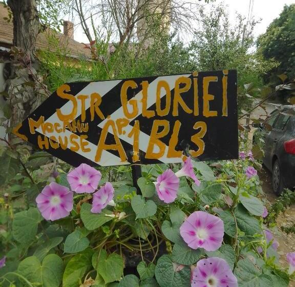 بنسيون Casa Mocanu