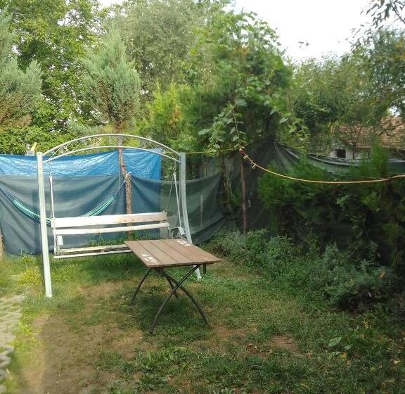 بنسيون Casa Mocanu