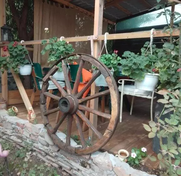 پانسیون Casa Mocanu
