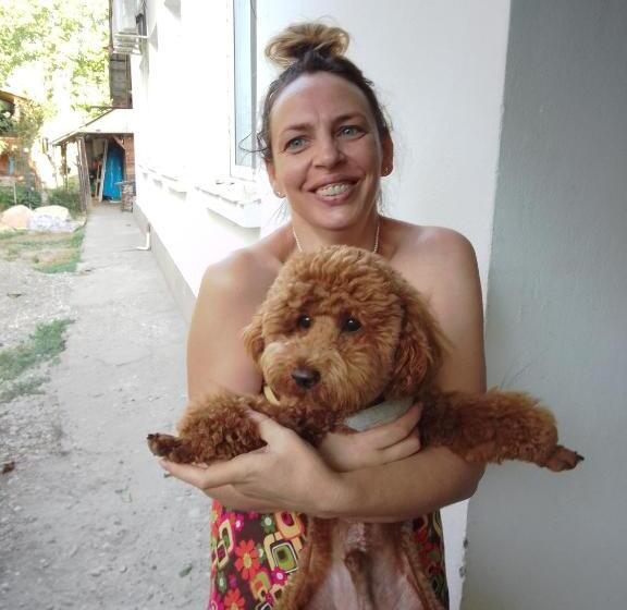 بنسيون Casa Mocanu