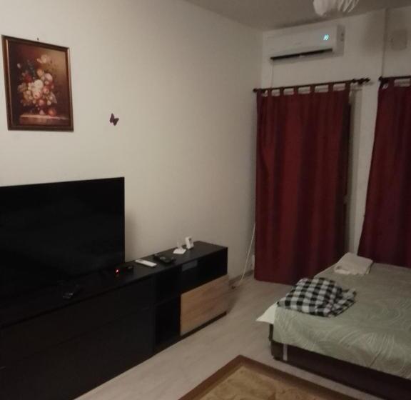 بنسيون Casa Mocanu