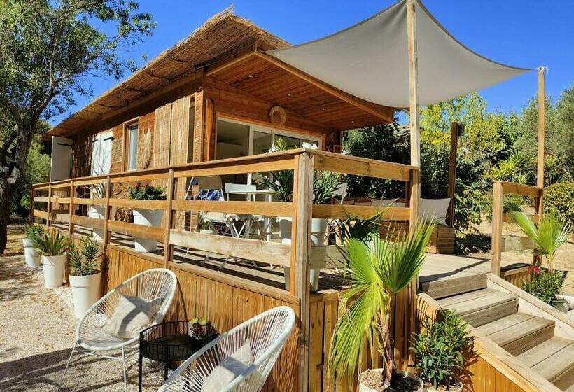 پانسیون Magnifique Cabanon Face Au Garlaban à Aubagne