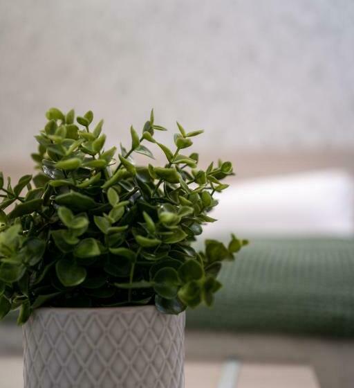 膳宿费 Dragonfly Affittacamere