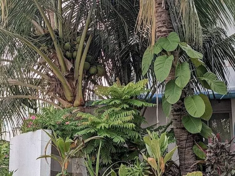 هتل Dhoadhi Retreat