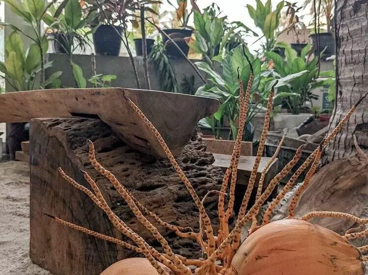 هتل Dhoadhi Retreat