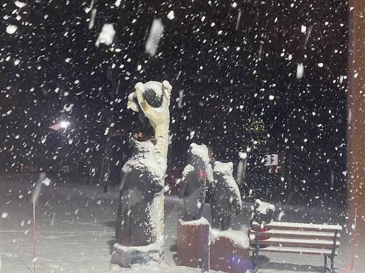 Motel Boulder Bear Motor Lodge