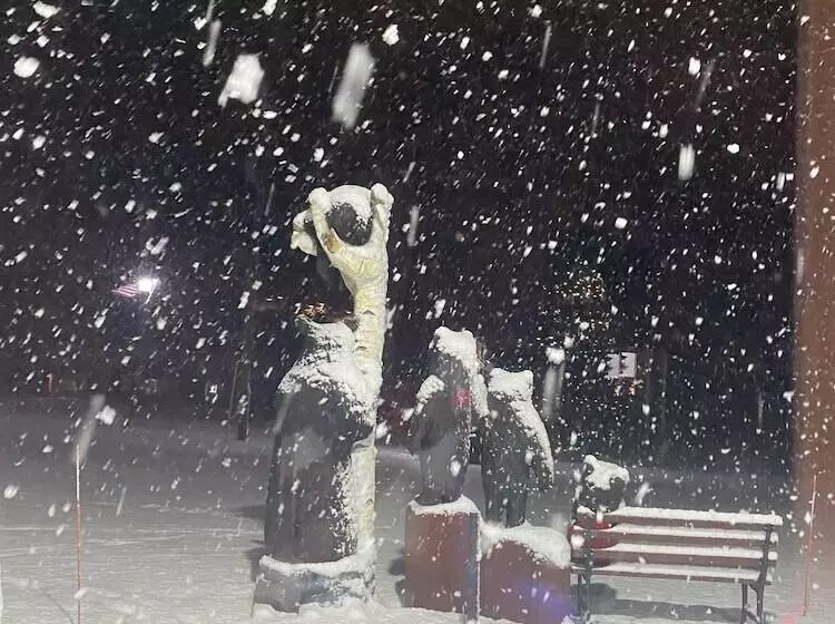 モーテル Boulder Bear Motor Lodge