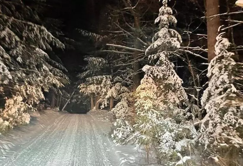 モーテル Boulder Bear Motor Lodge