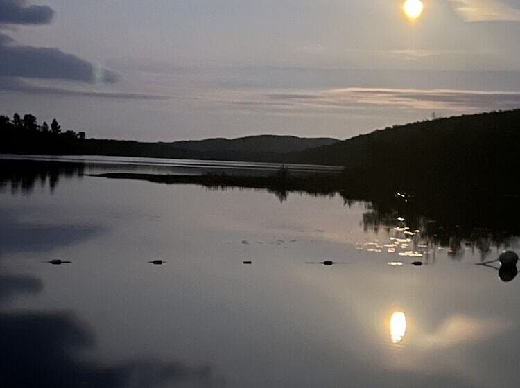 Motel Boulder Bear Motor Lodge