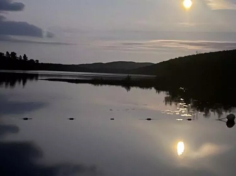 モーテル Boulder Bear Motor Lodge