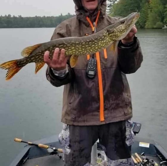 Motel Boulder Bear Motor Lodge