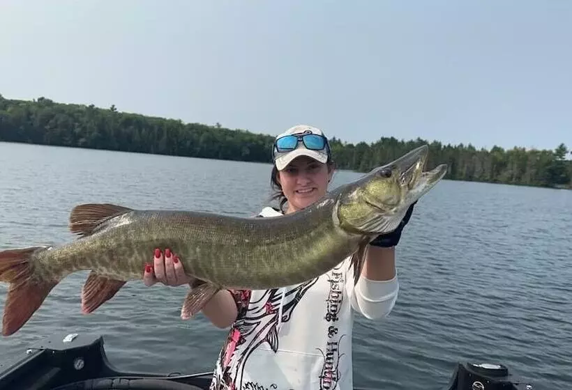 モーテル Boulder Bear Motor Lodge