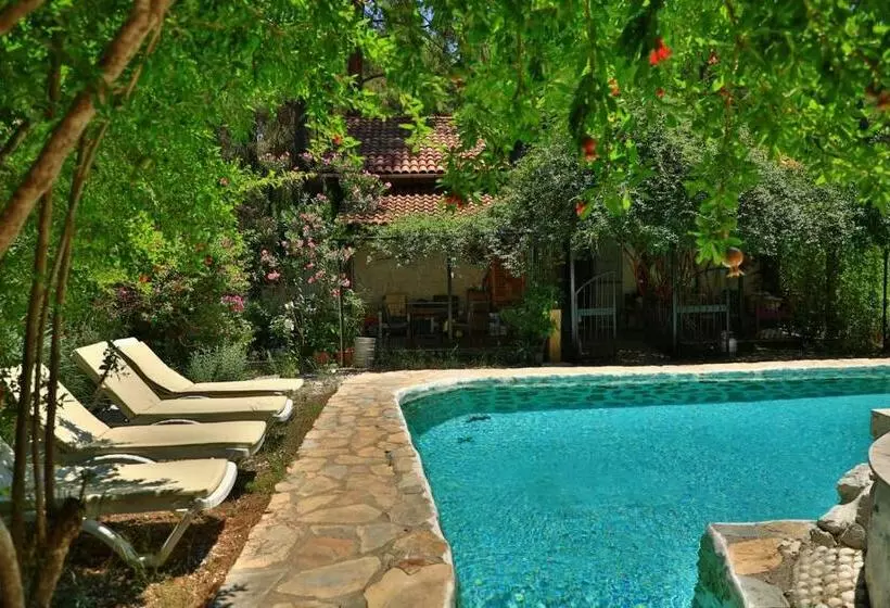 Olympos Five Rooms Apart No 2