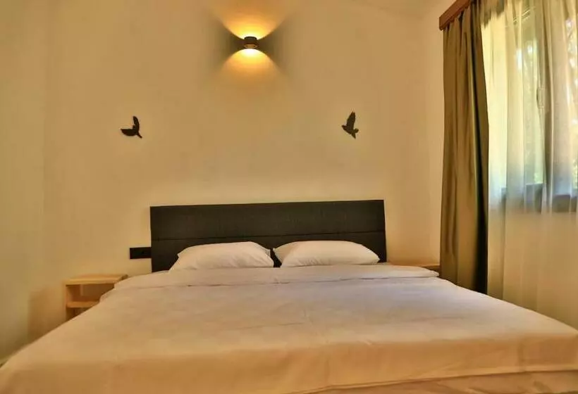 Olympos Five Rooms Apart No 2