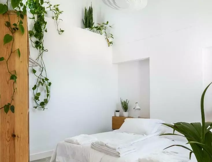 Outpost   Ocean Casitas