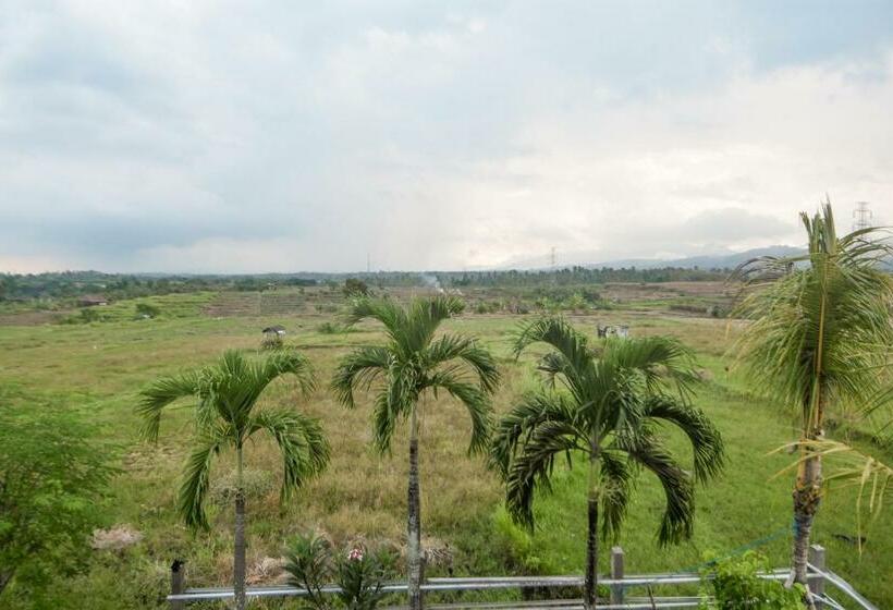 ベッドアンドブレックファースト Three Palms Surf & Stay Medewi