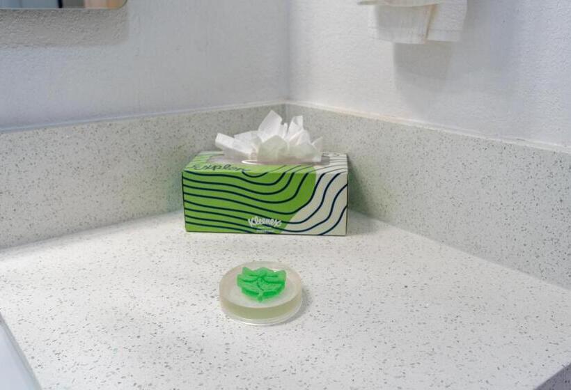 فندق Dragonfly Inn & Suites